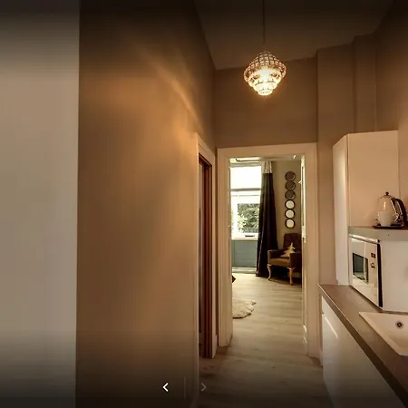 La Pause Roseeenne Rousies