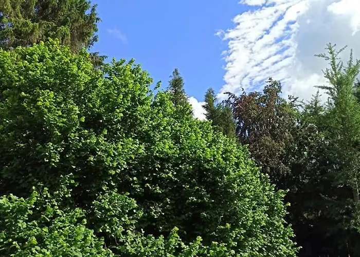 La Pause Roséeenne Couette-café